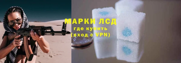ECSTASY Пересвет