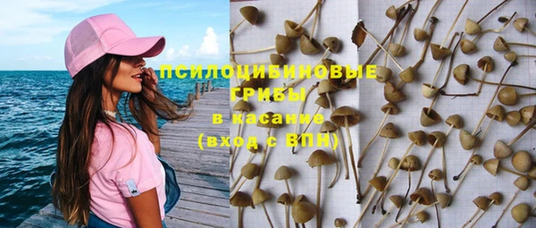 сатива Пестово
