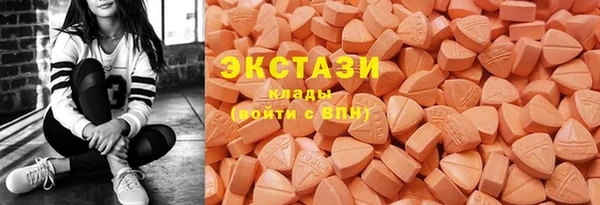 ECSTASY Пересвет