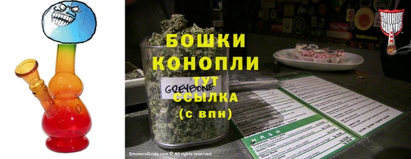 ECSTASY Пересвет
