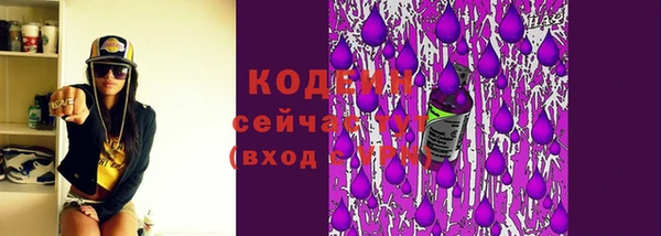 ECSTASY Пересвет