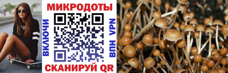 Галлюциногенные грибы GOLDEN TEACHER  как найти закладки  Ахтубинск 
