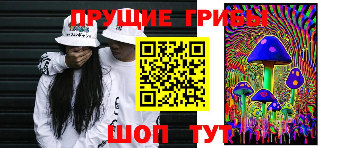 Ахтубинск  Псилоцибиновые грибы прущие грибы  Вход с VPN 
